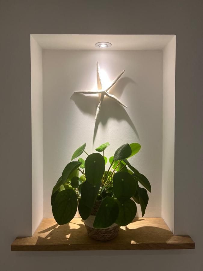 Appartement Van Der Zee Zandvoort Εξωτερικό φωτογραφία