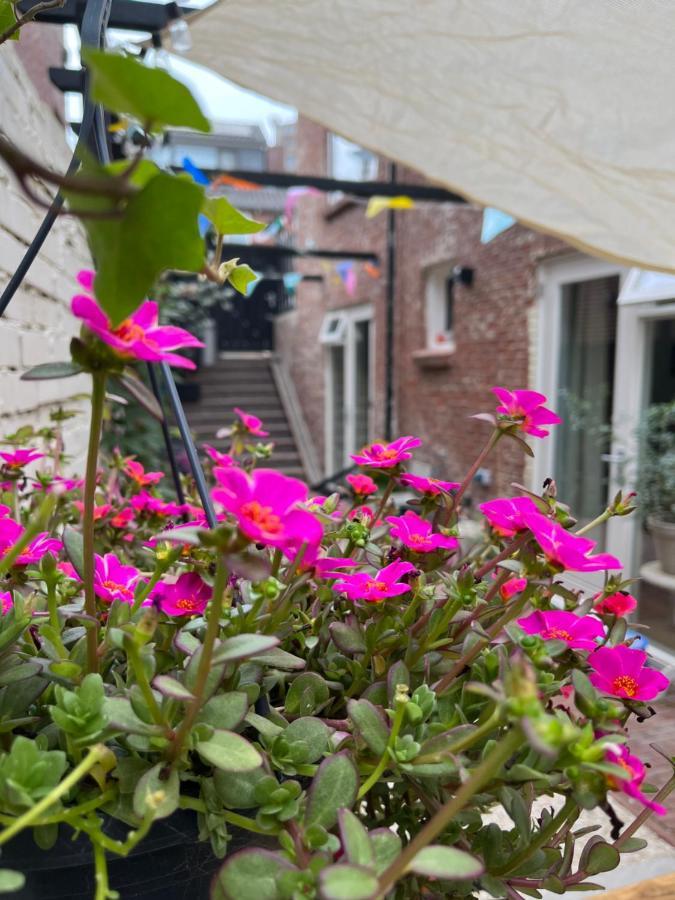 Appartement Van Der Zee Zandvoort Εξωτερικό φωτογραφία